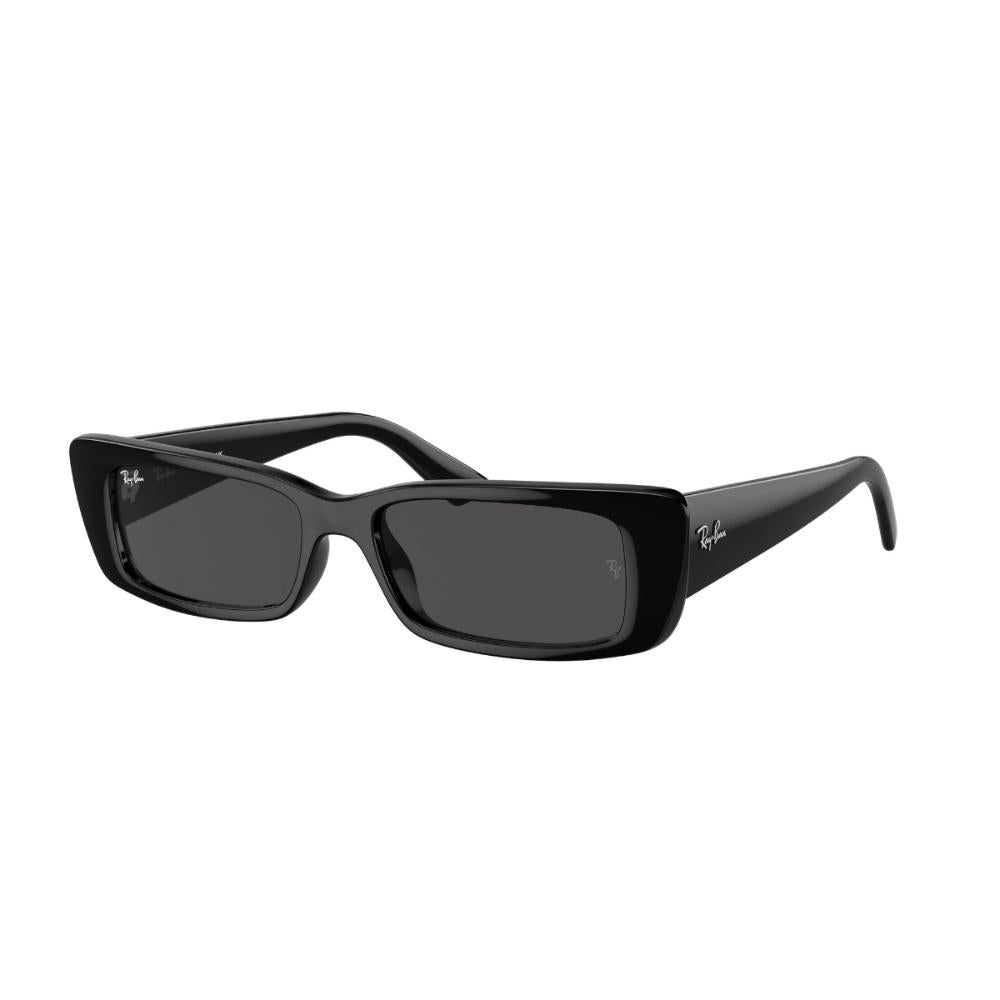 Óculos de Sol Teru Preto Ray-Ban